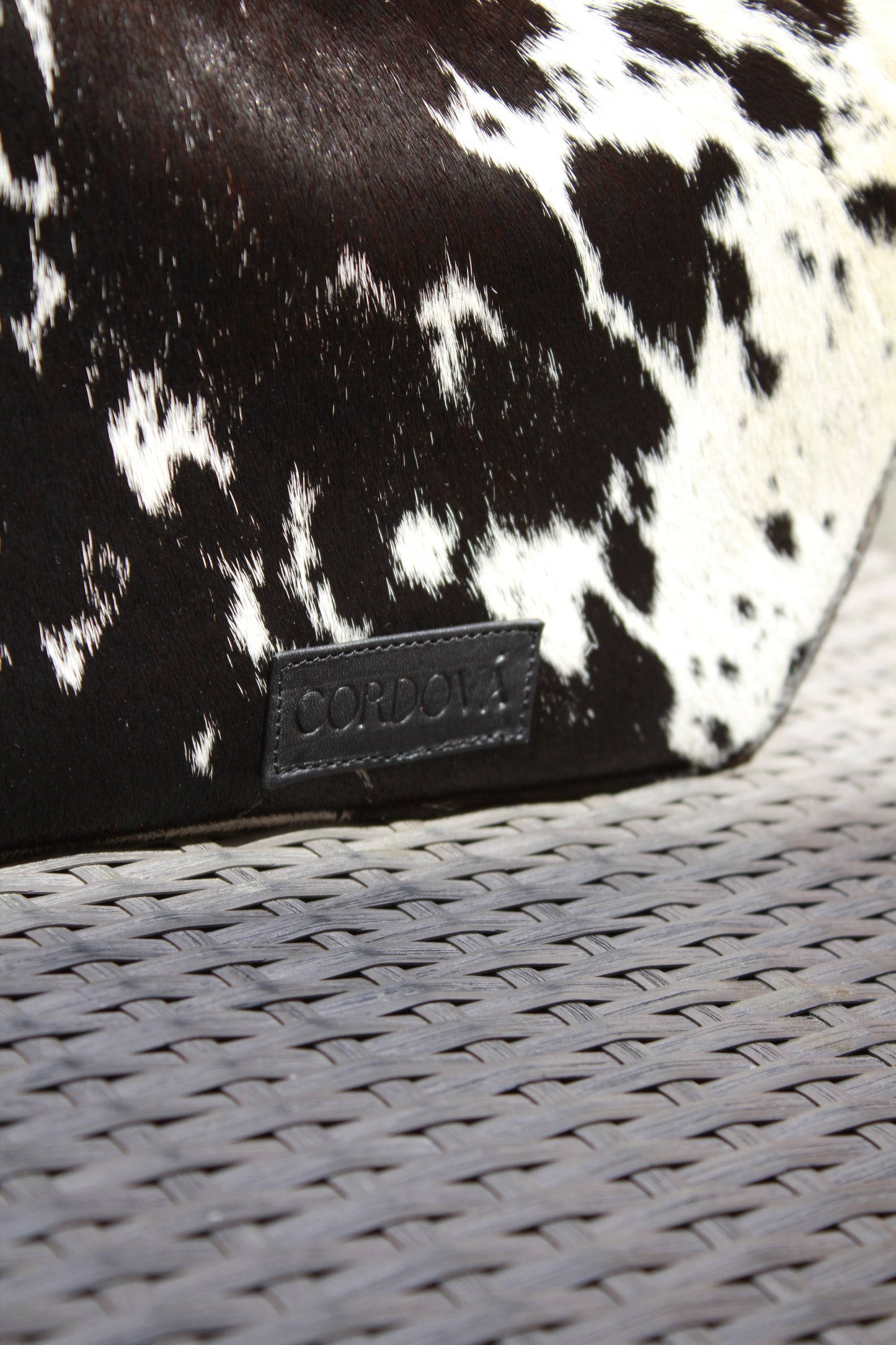 Fortune cow black