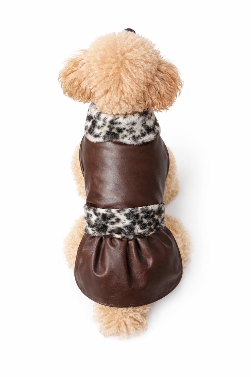 Mini rebel pet edition