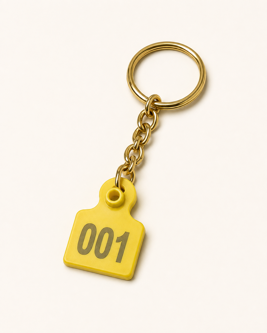 Key tag